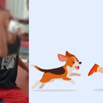 6 வயது சிறுவனை கொடூரமாக கடித்த வெறிநாய். 6 வயது சிறுவனை கொடூரமாக கடித்த வெறிநாய்.. மருத்துவமனையில் தீவிர சிகிச்சை