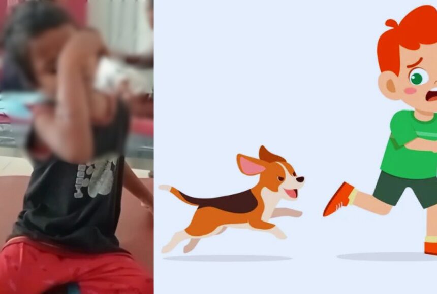 6 வயது சிறுவனை கொடூரமாக கடித்த வெறிநாய்.. மருத்துவமனையில் தீவிர சிகிச்சை