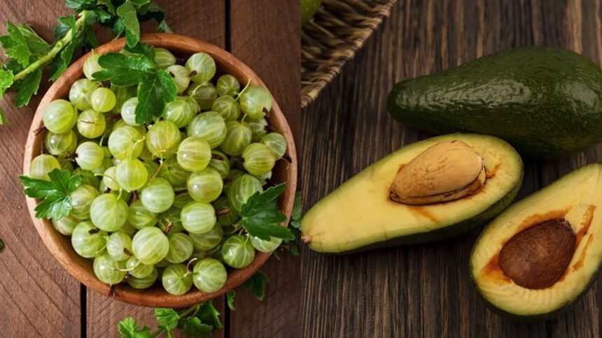 Amla vs Avocado: The superfood that deserves a spot in your kitchen is… Amla vs Avocado: The superfood that deserves a spot in your kitchen is…