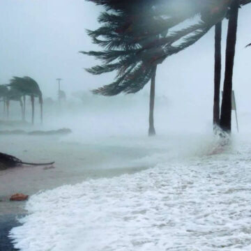Cyclone Ditwah alert: Storm may hit Tamil Nadu in 2 days; IMD upgrades alerts to red