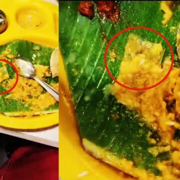 உணவில் கண்ணாடி துண்டு கிடந்தால் அதிர்ச்சி. உணவில் கண்ணாடி துண்டு கிடந்தால் அதிர்ச்சி.. நல்வாய்ப்பாக தப்பிய சிறுவன்