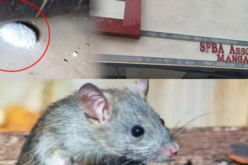 எலி மருந்தால் பறிபோன 2 குழந்தைகள் உயிர்- அதிரடி காட்டும் அதிகாரிகள்