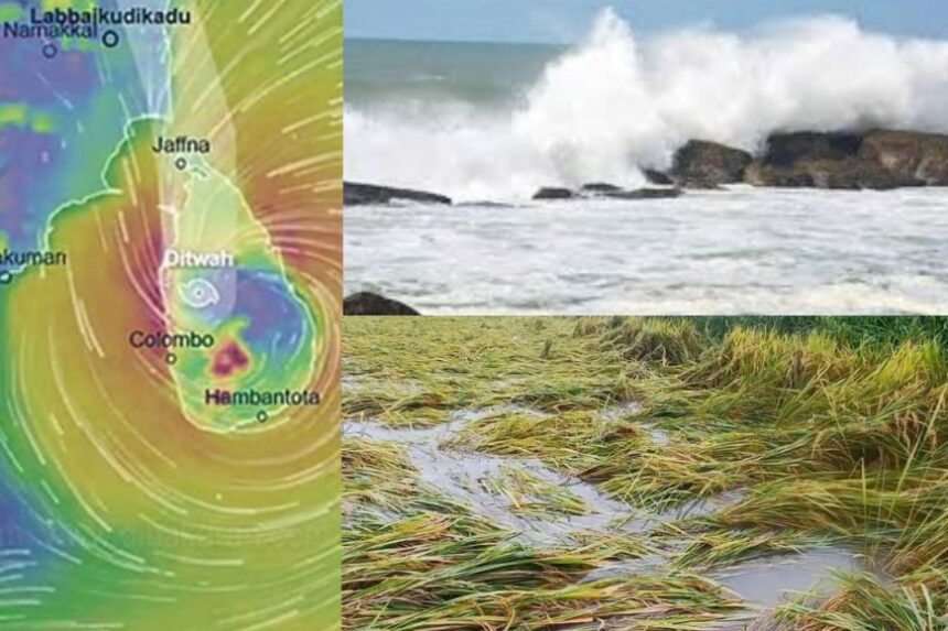 சென்னைக்கு தெற்கே 430 கி.மீ. தொலைவில் டிட்வா புயல்: மீட்பு பணிக்கு ஹெலிகாப்டர் பயன்படுத்த திட்டம்- அமைச்சர் கேகேஎஸ்எஸ்ஆர் 