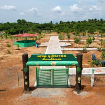 தமிழகத்தில் 100 மரகதப் பூஞ்சோலைகள் திட்டம்: அரசின் பலே ஐடியா! தமிழகத்தில் 100 மரகதப் பூஞ்சோலைகள் திட்டம்: அரசின் பலே ஐடியா!