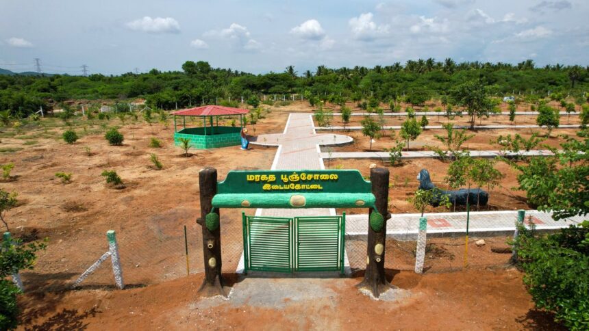 தமிழகத்தில் 100 மரகதப் பூஞ்சோலைகள் திட்டம்: அரசின் பலே ஐடியா!