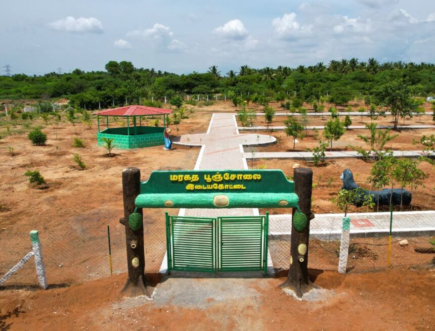 தமிழகத்தில் 100 மரகதப் பூஞ்சோலைகள் திட்டம்: அரசின் பலே ஐடியா!