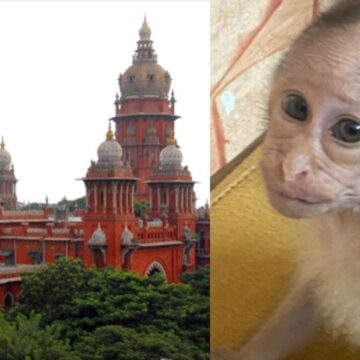 வண்டலூர் உயிரியல் பூங்காவில் குரங்கு குட்டி உயிரிழப்பு -வனத்துறைக்கு நீதிமன்றம் போட்ட உத்தரவு