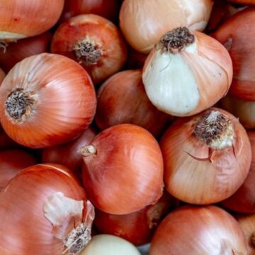 வெங்காயம் விலை ஏறும் போதெல்லாம் வரி போடுவதா? விவசாய சங்கம் எழுப்பும் கோரிக்கை