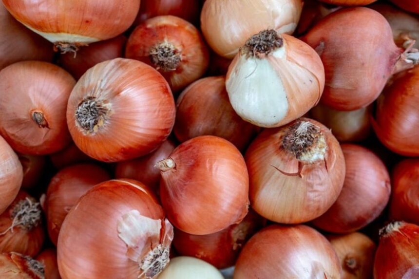 வெங்காயம் விலை ஏறும் போதெல்லாம் வரி போடுவதா? விவசாய சங்கம் எழுப்பும் கோரிக்கை வெங்காயம் விலை ஏறும் போதெல்லாம் வரி போடுவதா? விவசாய சங்கம் எழுப்பும் கோரிக்கை