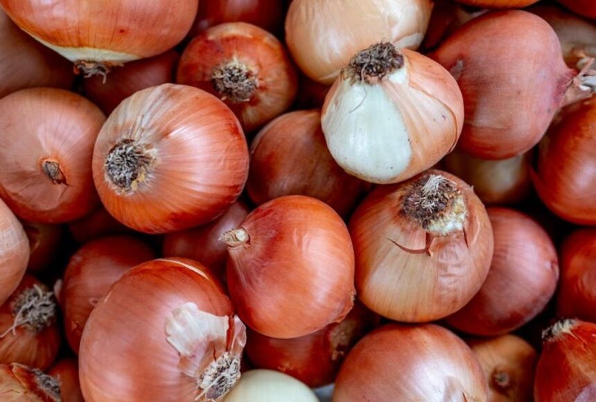 வெங்காயம் விலை ஏறும் போதெல்லாம் வரி போடுவதா? விவசாய சங்கம் எழுப்பும் கோரிக்கை