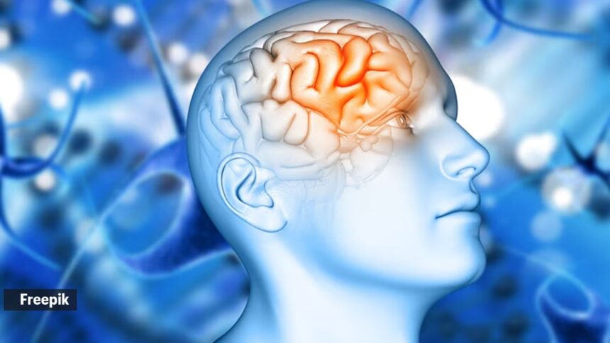 Problems with brain’s waste clearance can contribute to dementia: Study