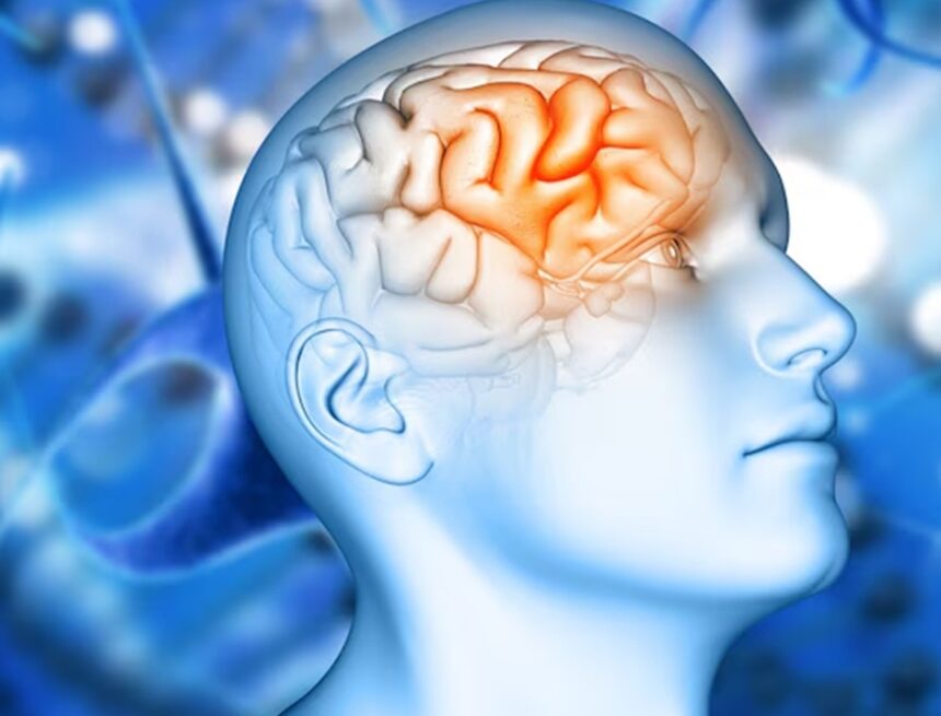 Problems with brain’s waste clearance can contribute to dementia: Study Problems with brain’s waste clearance can contribute to dementia: Study