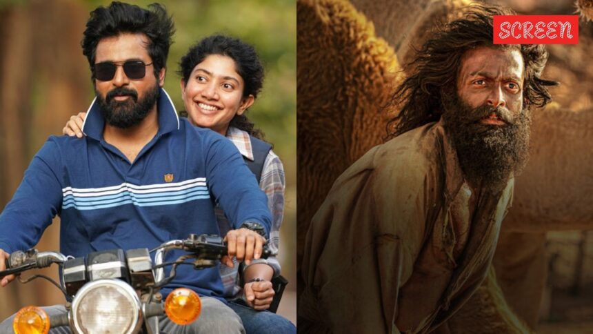 SIIMA 2025 winners list: Aadujeevitham, Amaran win big; Sai Pallavi, Prithviraj Sukumaran take home best actor honours
