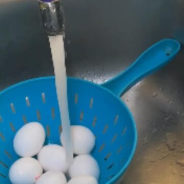Stop cooking unwashed eggs: Here’s why you should wash them first
