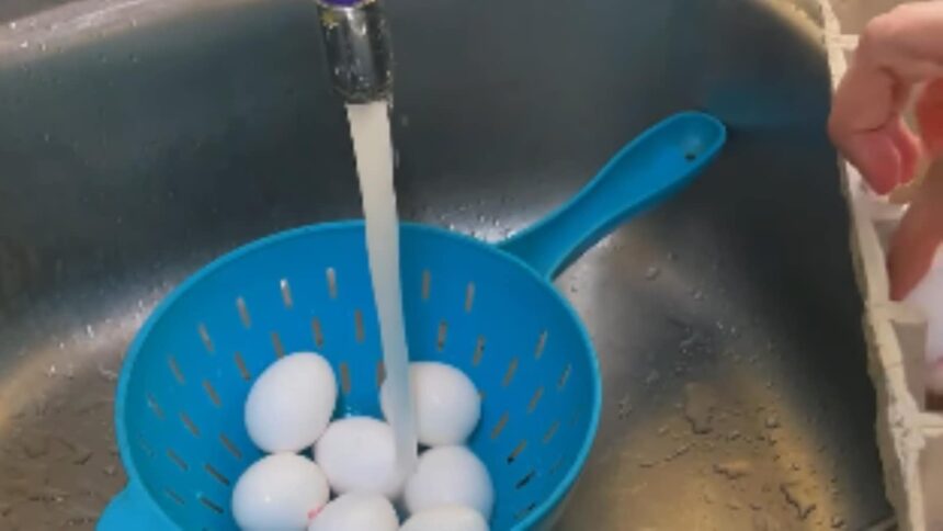 Stop cooking unwashed eggs: Here’s why you should wash them first Stop cooking unwashed eggs: Here’s why you should wash them first