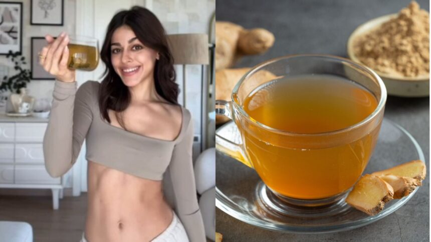 ‘Try it tonight and thank me later’: Alaya F swears by this nighttime drink to ‘detox, de-bloat and digest’ ‘Try it tonight and thank me later’: Alaya F swears by this nighttime drink to ‘detox, de-bloat and digest’