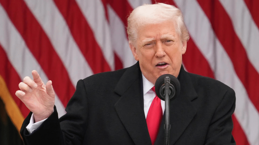 ‘We have all the cards’: Trump touts tariffs as cornerstone of US strength ‘We have all the cards’: Trump touts tariffs as cornerstone of US strength