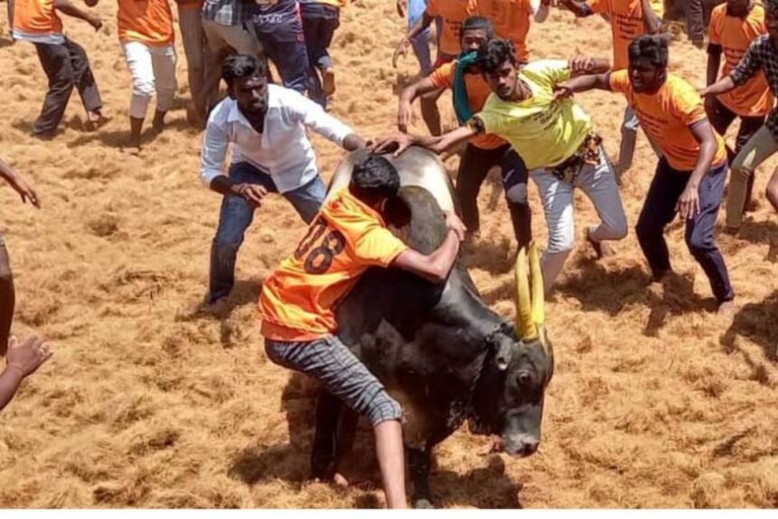 அடுத்த ஆண்டு ஜல்லிக்கட்டு நடைபெறுமா ? அரசு செயலாளர் சுற்றறிக்கையில் திடீர் பரபரப்பு அடுத்த ஆண்டு ஜல்லிக்கட்டு நடைபெறுமா ? அரசு செயலாளர் சுற்றறிக்கையில் திடீர் பரபரப்பு