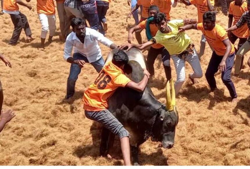 அடுத்த ஆண்டு ஜல்லிக்கட்டு நடைபெறுமா ? அரசு  செயலாளர் சுற்றறிக்கையில் திடீர் பரபரப்பு 