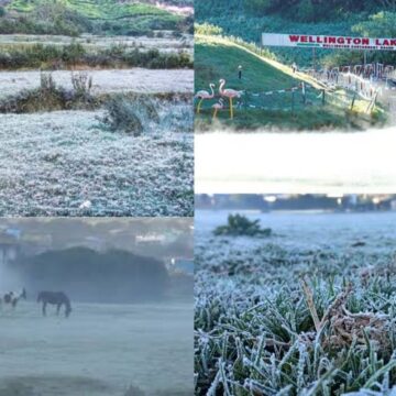 காஷ்மீராக மாறிய ஊட்டி:வெப்பநிலை மைனஸ் 1 டிகிரி பதிவு , உறைபனியால் சுற்றுலா பயணிகள் தடை?