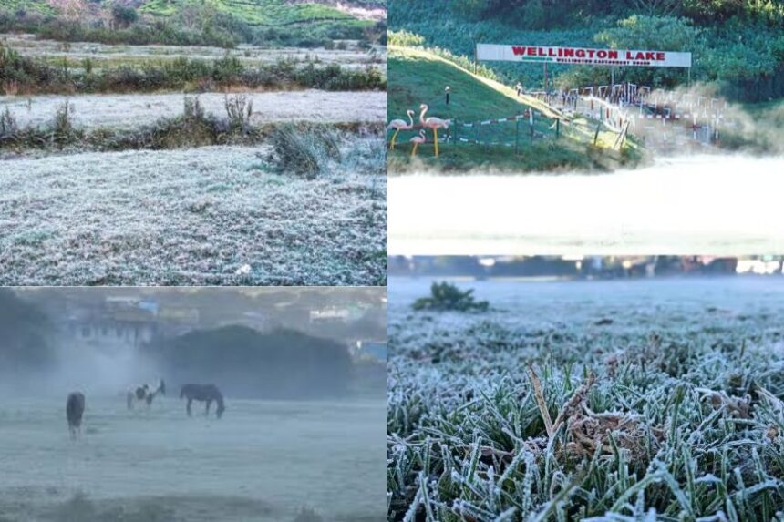காஷ்மீராக மாறிய ஊட்டி:வெப்பநிலை மைனஸ் 1 டிகிரி பதிவு , உறைபனியால் சுற்றுலா பயணிகள் தடை?