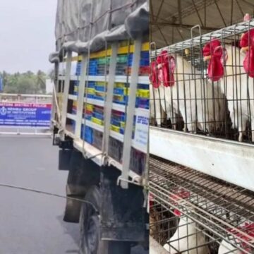 கேரளாவில் பறவை காய்ச்சல்: தமிழக எல்லையோர மாவட்டங்களில் அலார்ட் 