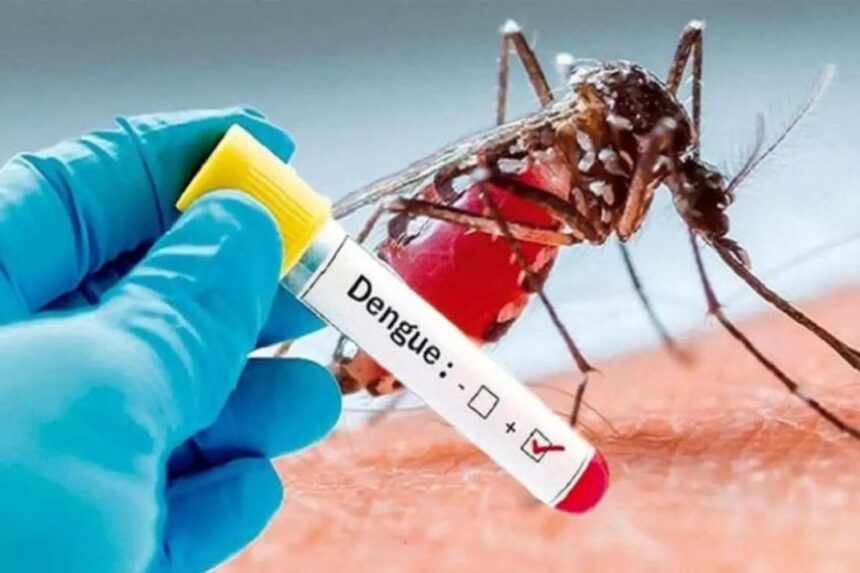 தமிழகத்தில் கடந்தாண்டு டெங்கு காய்ச்சலுக்கு 25,278 பேர் பாதிப்பு 