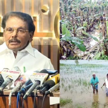 மழையால் பாதிக்கப்பட்ட பயிர்களுக்கு ஹெக்டேருக்கு ரூ.20,000 நிவாரணம் வழங்கப்படும்: தமிழக அரசு அறிவிப்பு