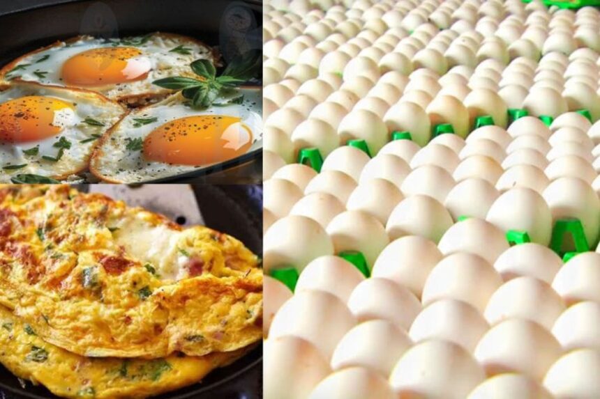 விண்ணை தொடும் முட்டை விலை உயர்வு: இனி ஆம்லெட், ஆஃபாயில் குட்பை விண்ணை தொடும் முட்டை விலை உயர்வு: இனி ஆம்லெட், ஆஃபாயில் குட்பை