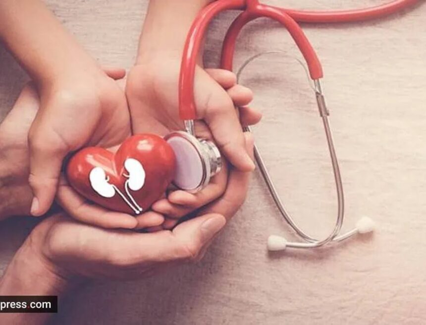 ‘I am 74; recent blood report shows my kidney function (eGFR) as 53. How can I bring it to a normal level > 59?’
