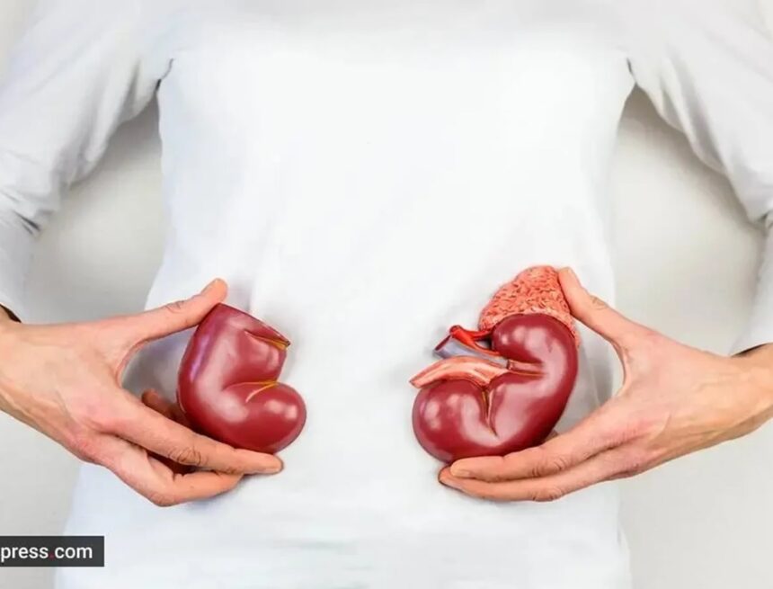 ‘I have a creatinine level of 4.77 mg/dL. Is it dangerous, or do I need dialysis?’