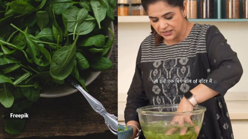 MasterChef Pankaj Bhadouria shares tip to avoid making a crucial mistake while washing leafy greens MasterChef Pankaj Bhadouria shares tip to avoid making a crucial mistake while washing leafy greens