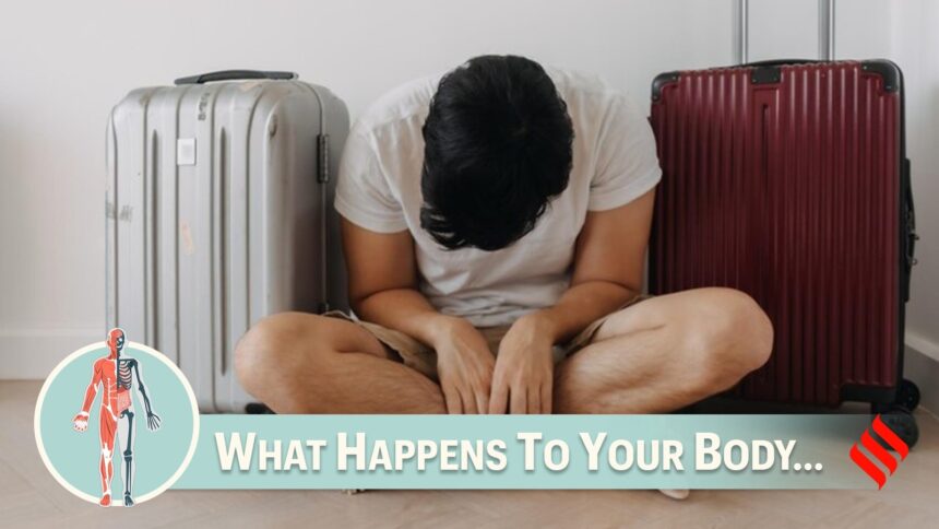 This is what happens to the body when you’re jetlagged This is what happens to the body when you’re jetlagged