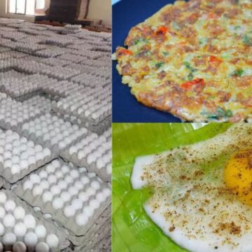 ஆம்லெட் பிரியர்களுக்கு ஹாப்பி நியூஸ், தொடர்ந்து சரியும் முட்டை விலை