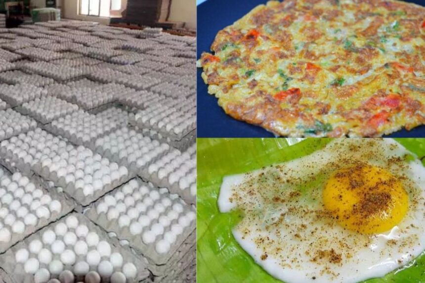 ஆம்லெட் பிரியர்களுக்கு ஹாப்பி நியூஸ், தொடர்ந்து சரியும் முட்டை விலை