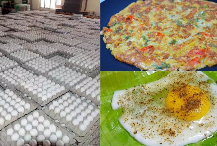 ஆம்லெட் பிரியர்களுக்கு ஹாப்பி நியூஸ், தொடர்ந்து சரியும் முட்டை விலை