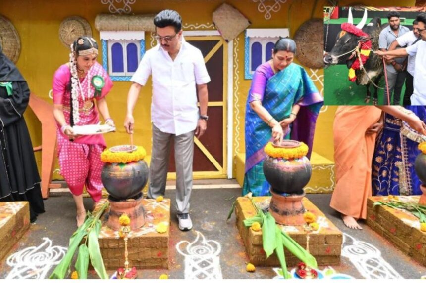 சிலம்பம் சுற்றி, பொங்கல் வைத்து கொளத்தூர் தொகுதியில் ஸ்டாலின் உற்சாகம்