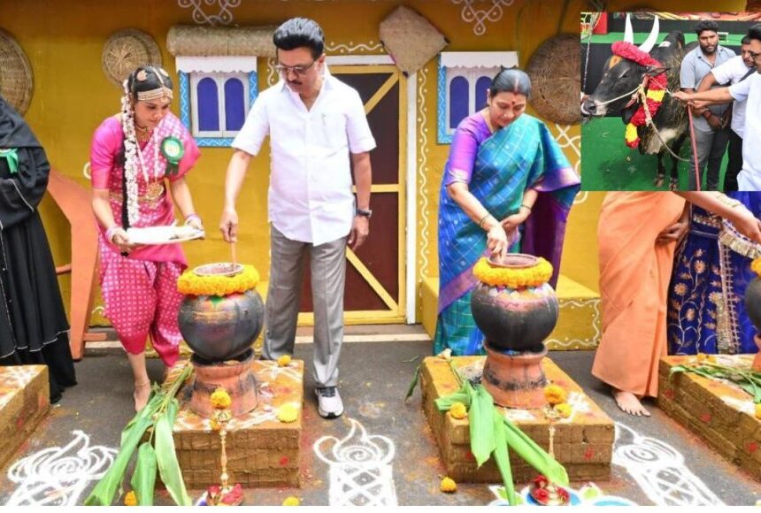 சிலம்பம் சுற்றி, பொங்கல் வைத்து கொளத்தூர் தொகுதியில் ஸ்டாலின் உற்சாகம் சிலம்பம் சுற்றி, பொங்கல் வைத்து கொளத்தூர் தொகுதியில் ஸ்டாலின் உற்சாகம்