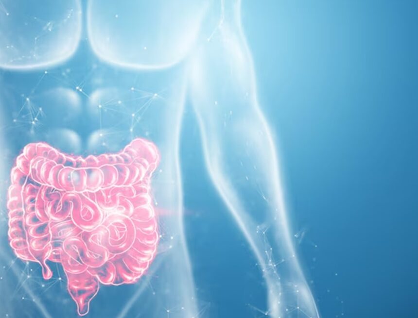 ‘I am a GI doctor, here are five approved ways to enjoy the festive season if you suffer from inflammatory bowel disease’