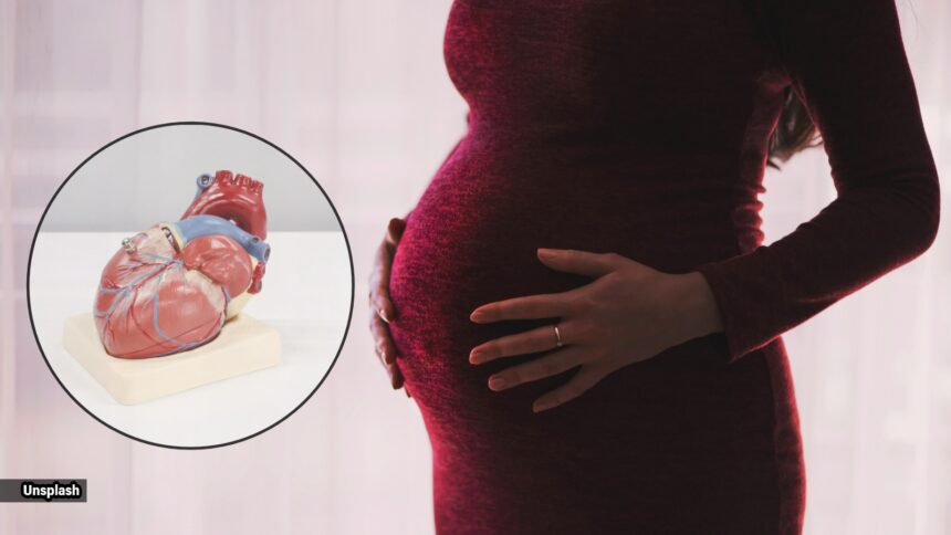 Why pregnancy acts as a ‘physiologic stress test’ for a women’s heart