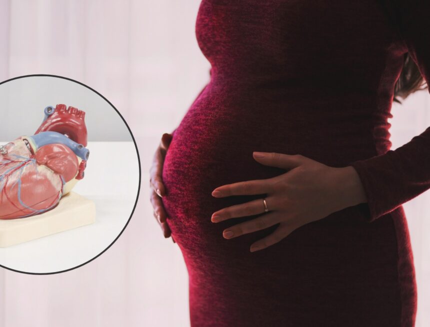 Why pregnancy acts as a ‘physiologic stress test’ for a women’s heart Why pregnancy acts as a ‘physiologic stress test’ for a women’s heart