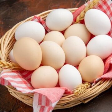 Cracking the code: The truth about brown vs. white eggs