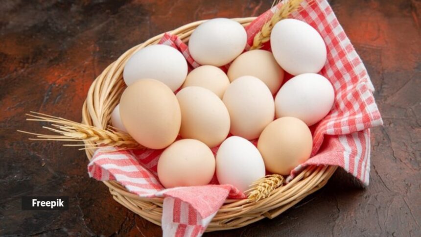 Cracking the code: The truth about brown vs. white eggs
