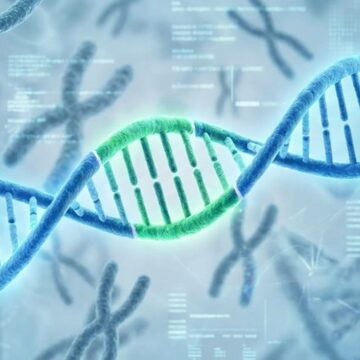 Genes may control your longevity, however healthily you live