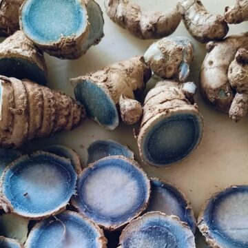 The Blue Gold: All about India’s rare, deep-indigo turmeric with supercharged healing power