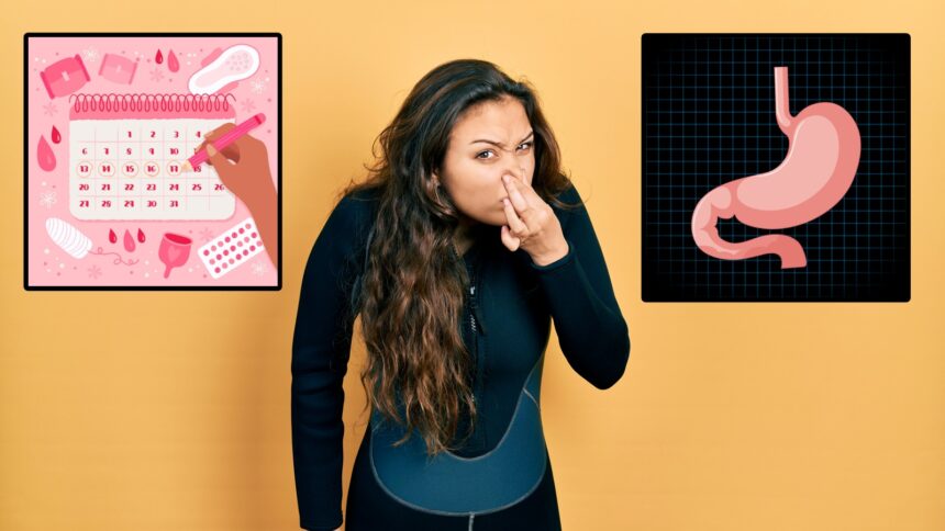 The science of period flatulence: Why your gut goes rogue during your cycle The science of period flatulence: Why your gut goes rogue during your cycle