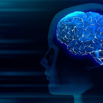 Common diabetes drug works by acting on brain, study shows