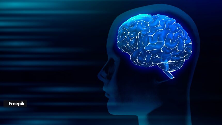 Common diabetes drug works by acting on brain, study shows Common diabetes drug works by acting on brain, study shows