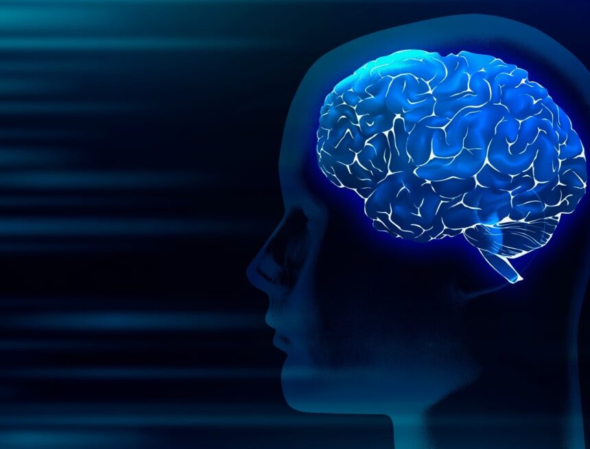 Common diabetes drug works by acting on brain, study shows