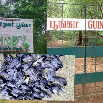 பறவை காய்ச்சல் எதிரொலி, 20-க்கும் மேற்பட்ட பறவைகள் உயிரிழப்பு: கிண்டி சிறுவர் பூங்கா மூடல்  